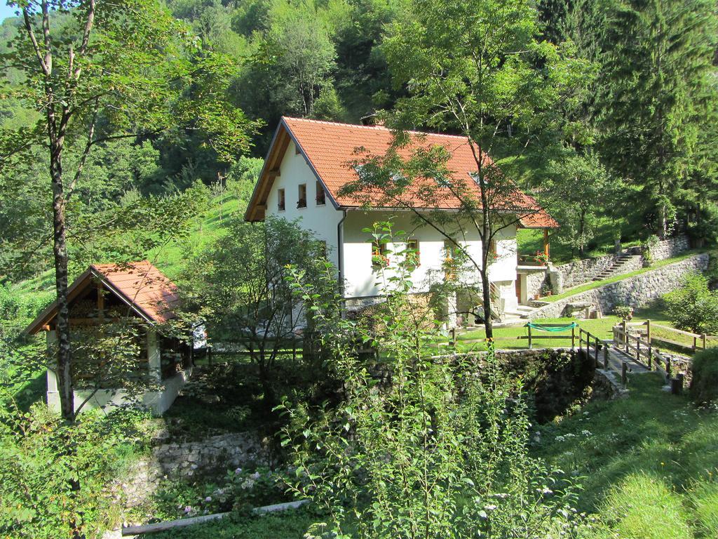 House Dolenja Trebusa Guest House Bagian luar foto